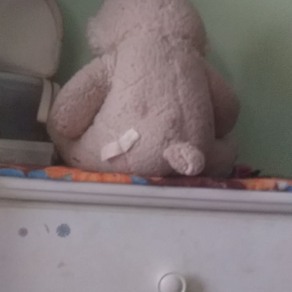Bunny - Picture 3 of 4